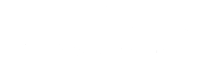 MAN Systems